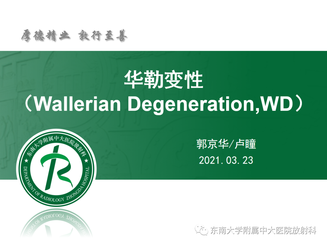 影像PPT - 【PPT】华勒变性-4