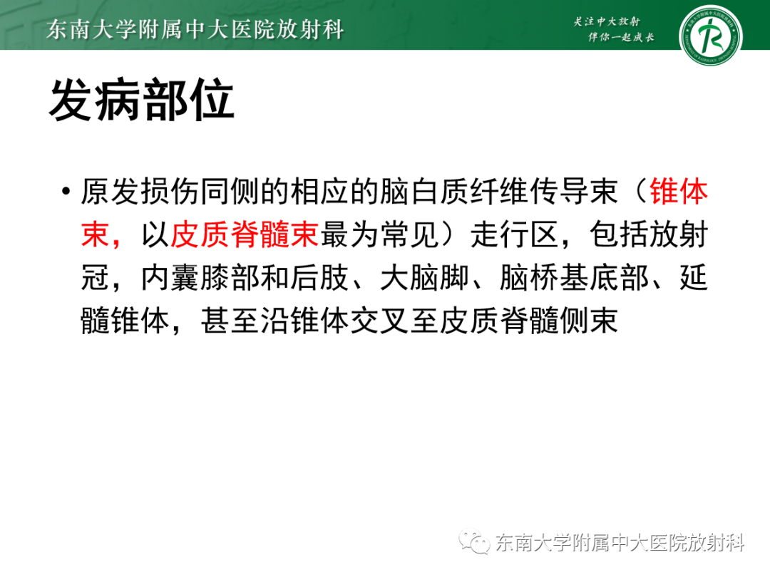 影像PPT - 【PPT】华勒变性-6