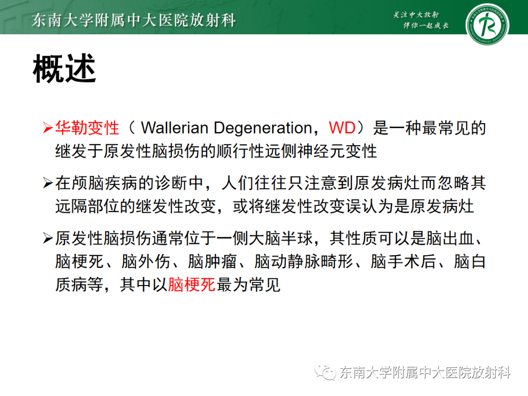 影像PPT - 【PPT】华勒变性-5
