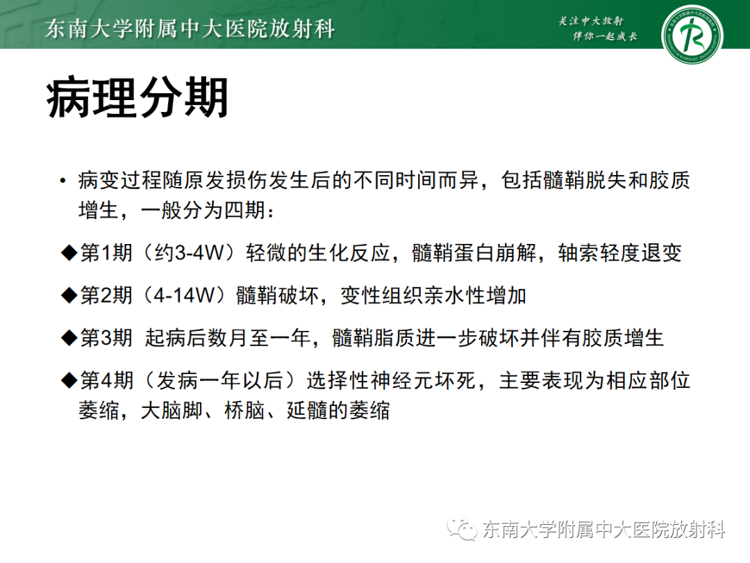 影像PPT - 【PPT】华勒变性-9