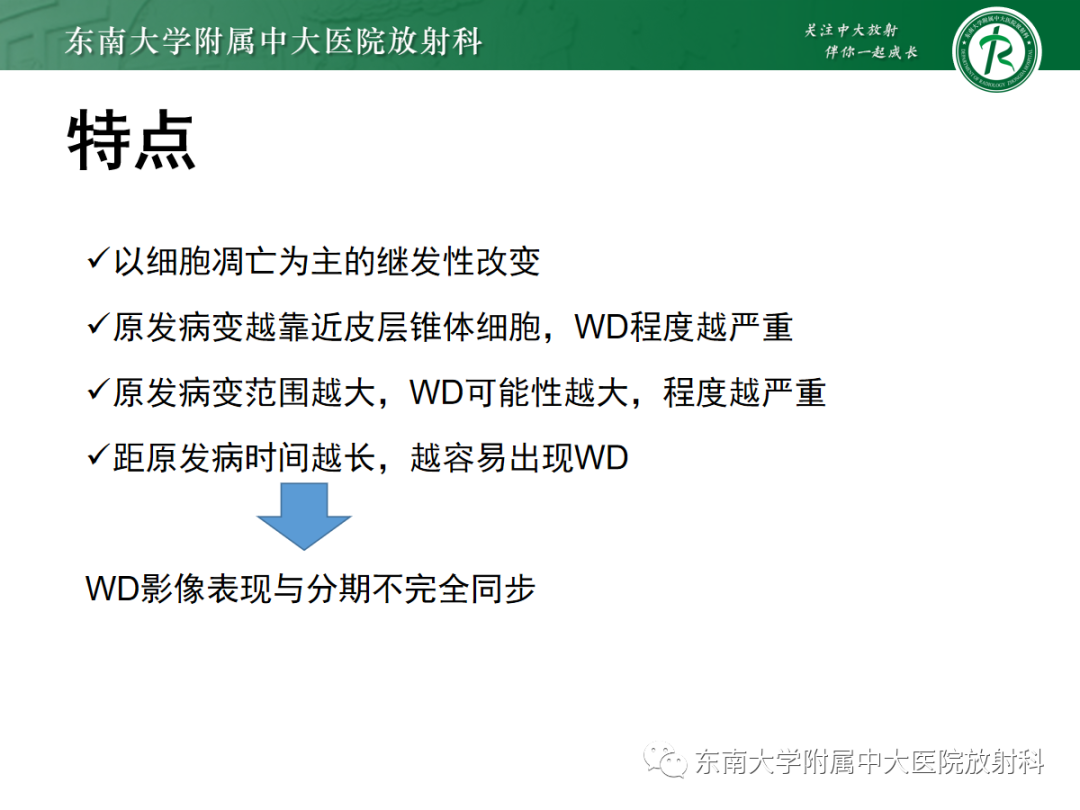 影像PPT - 【PPT】华勒变性-12