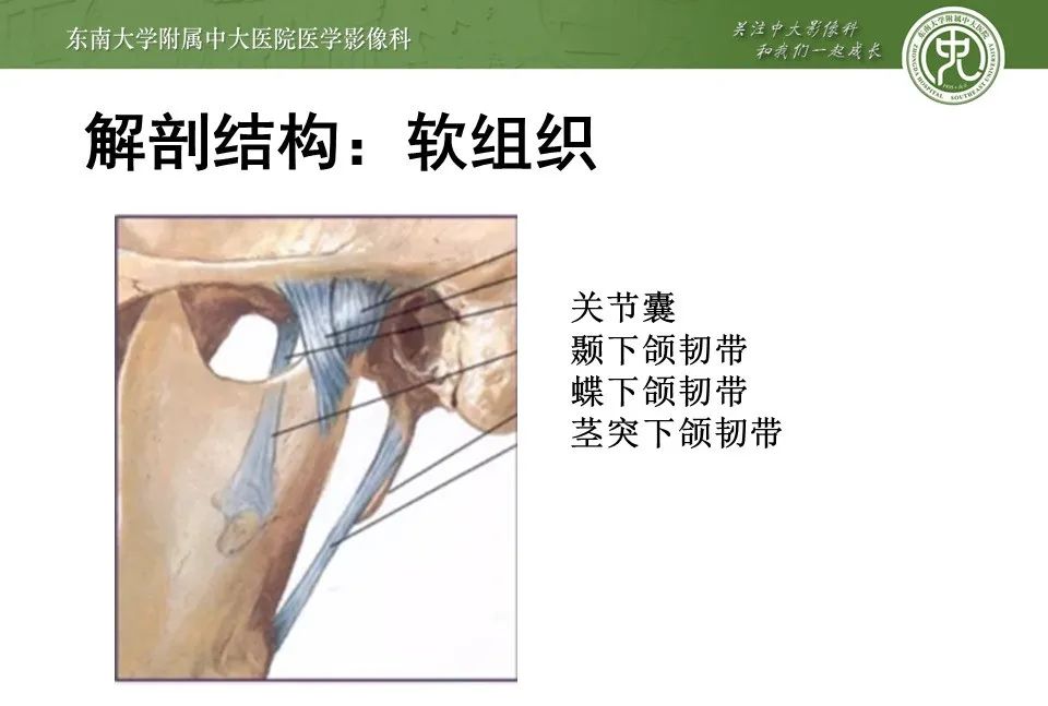 影像PPT - 【PPT】颞下颌关节紊乱病影像诊断-8