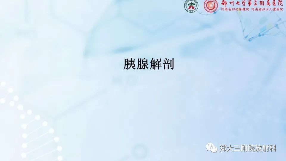 影像PPT - 【PPT】胰腺良性上皮性肿瘤及癌前病变-4