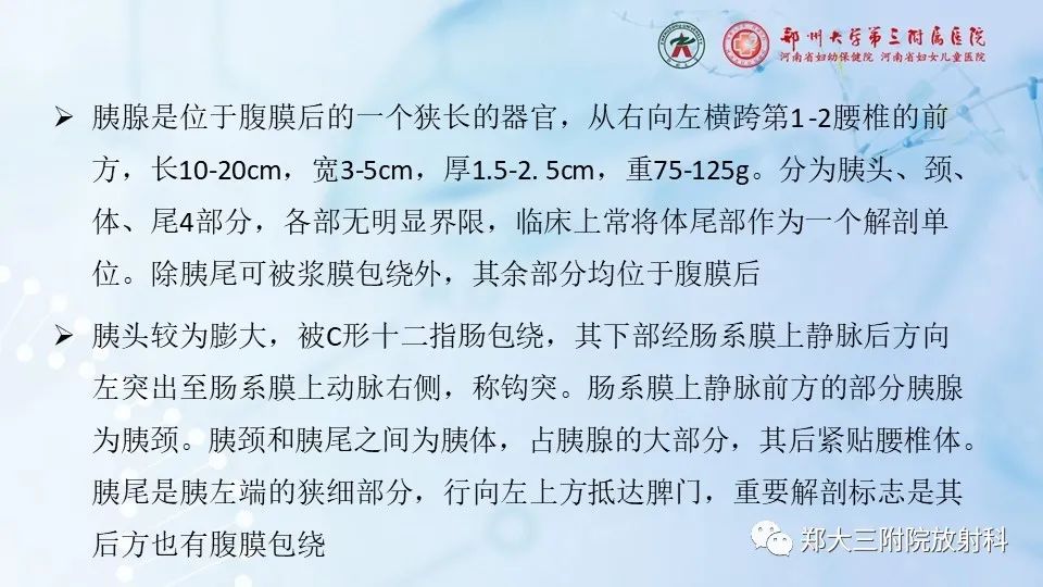 影像PPT - 【PPT】胰腺良性上皮性肿瘤及癌前病变-5