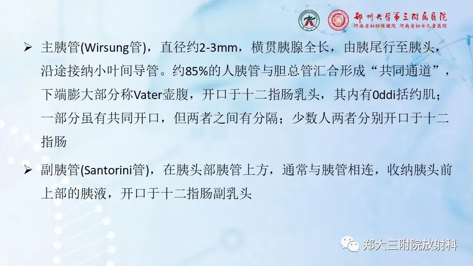 影像PPT - 【PPT】胰腺良性上皮性肿瘤及癌前病变-7