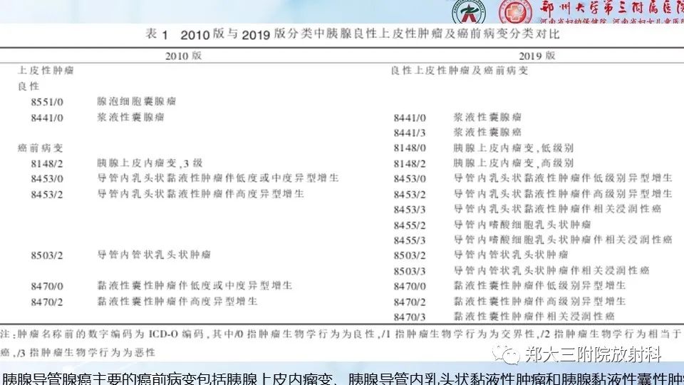 影像PPT - 【PPT】胰腺良性上皮性肿瘤及癌前病变-14