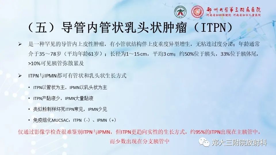 影像PPT - 【PPT】胰腺良性上皮性肿瘤及癌前病变-31