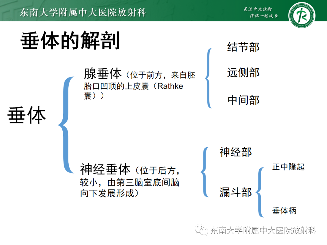 影像PPT - 【PPT】垂体Rathke囊肿的MRI表现-5