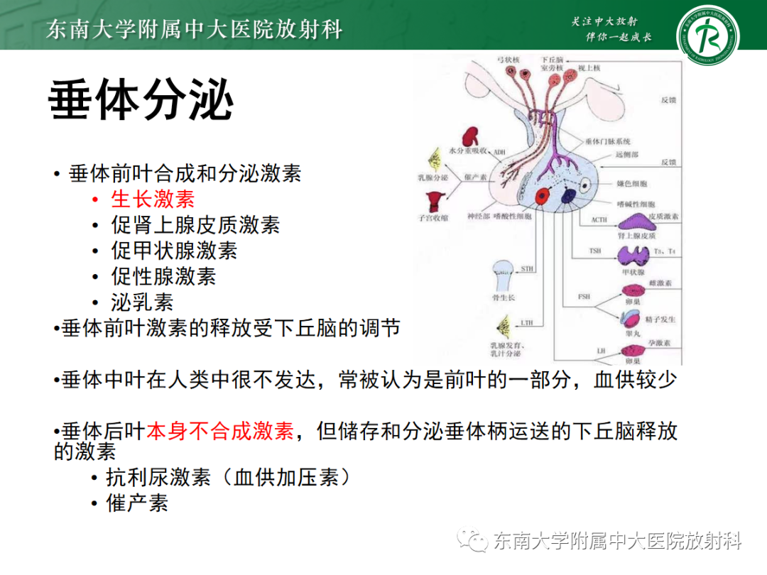 影像PPT - 【PPT】垂体Rathke囊肿的MRI表现-9
