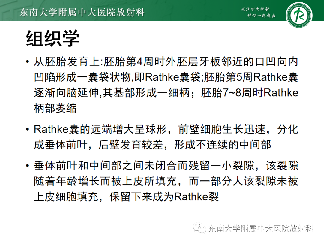影像PPT - 【PPT】垂体Rathke囊肿的MRI表现-14