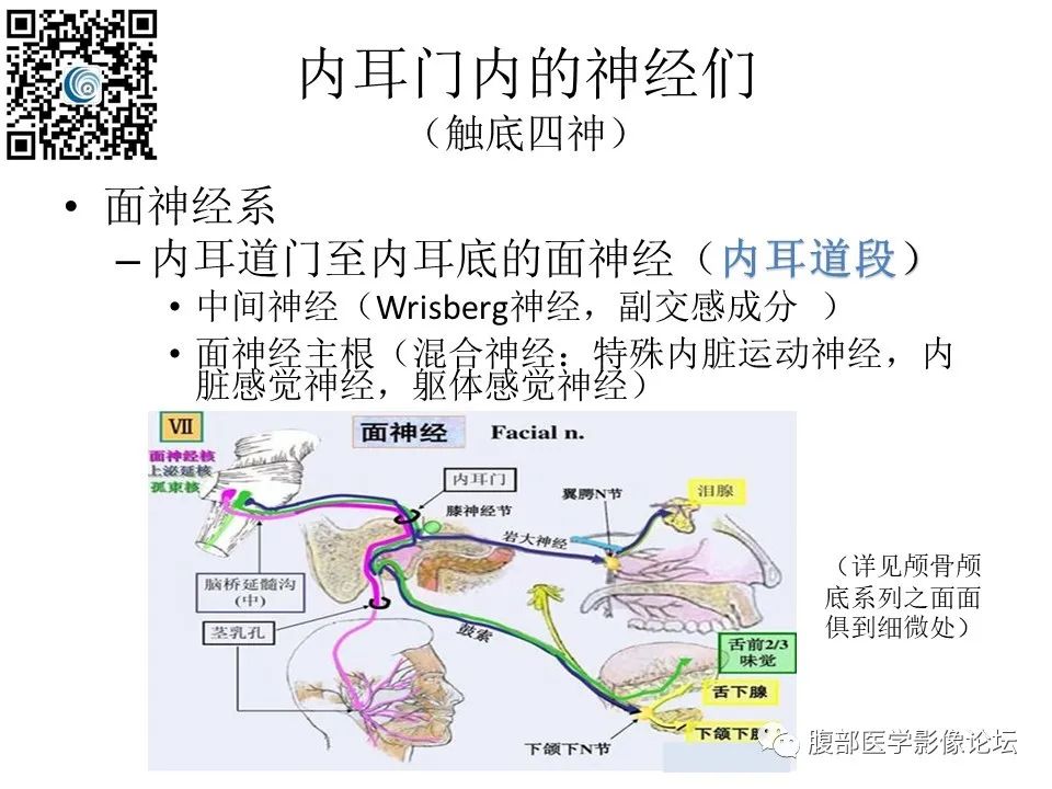 影像PPT - 【PPT】颅骨颅底系列之触底四神共一门-7