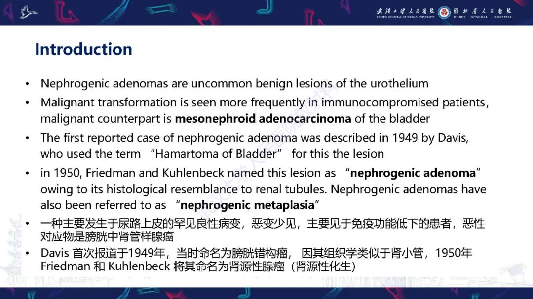 影像PPT - 【PPT】膀胱肾源性腺瘤影像诊断-13
