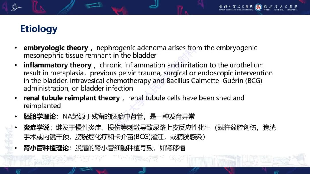 影像PPT - 【PPT】膀胱肾源性腺瘤影像诊断-14