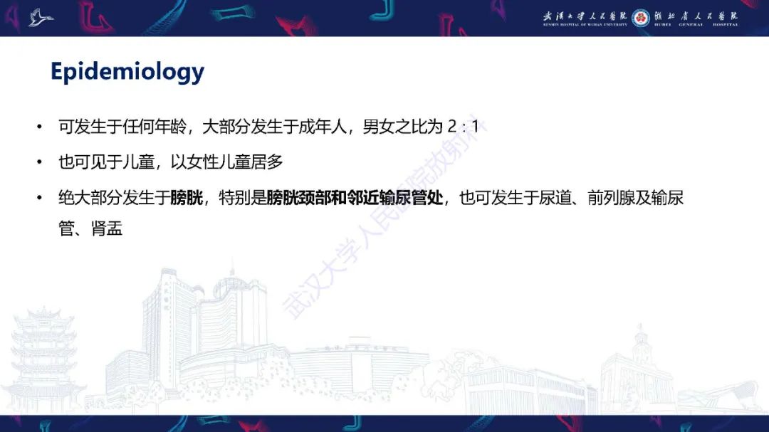 影像PPT - 【PPT】膀胱肾源性腺瘤影像诊断-16