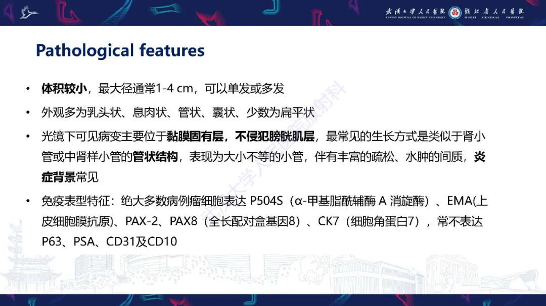 影像PPT - 【PPT】膀胱肾源性腺瘤影像诊断-15