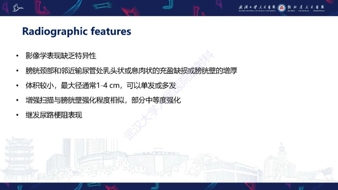 影像PPT - 【PPT】膀胱肾源性腺瘤影像诊断-18