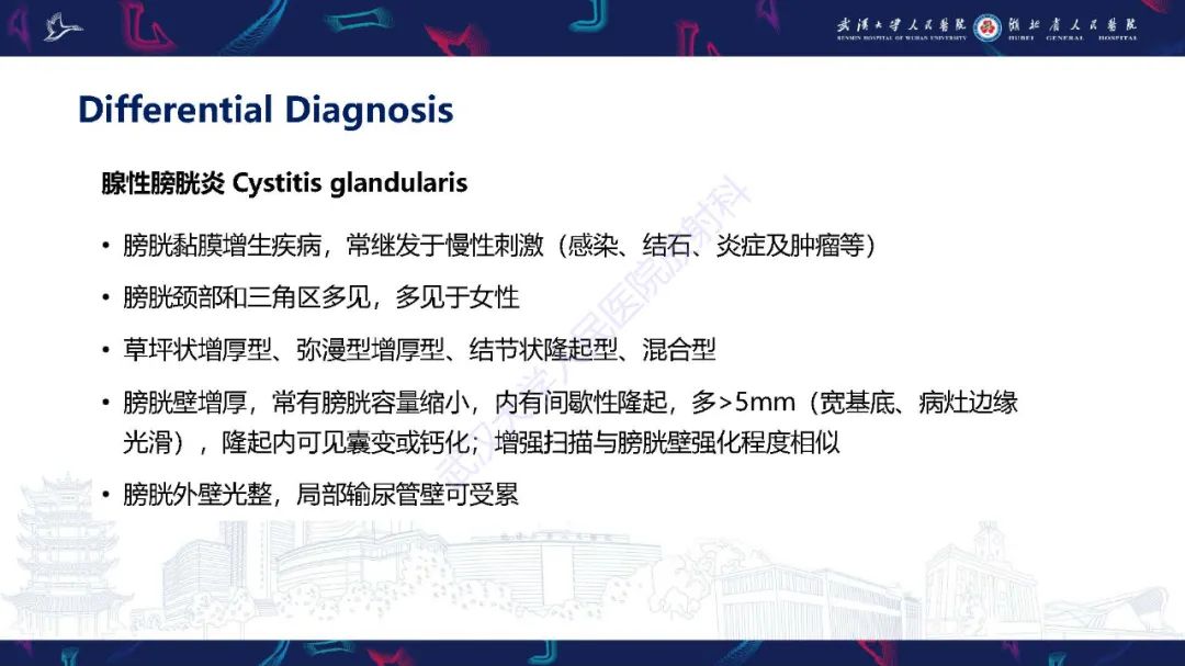 影像PPT - 【PPT】膀胱肾源性腺瘤影像诊断-25