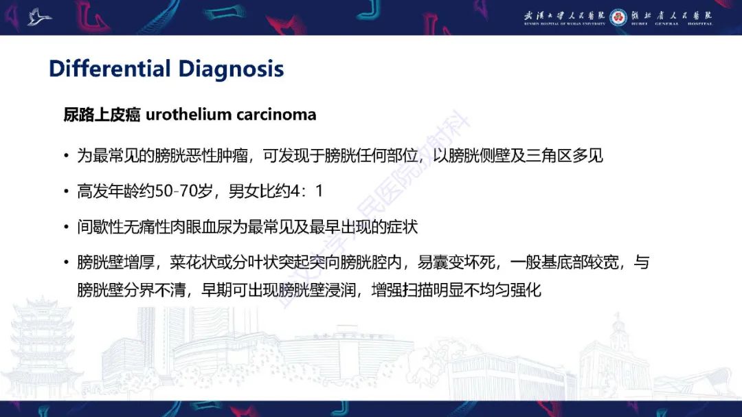 影像PPT - 【PPT】膀胱肾源性腺瘤影像诊断-31