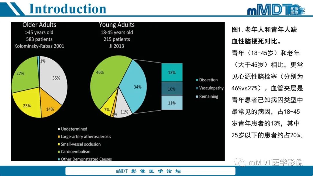 影像PPT - 【PPT】青年缺血性脑卒中:影像学综述-5 影像PPT - 【PPT】青年缺血性脑卒中:影像学综述-5