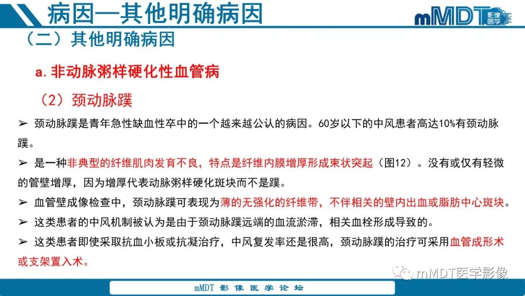 影像PPT - 【PPT】青年缺血性脑卒中:影像学综述-40 影像PPT - 【PPT】青年缺血性脑卒中:影像学综述-40