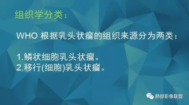 影像PPT - 【PPT】气管支气管乳头状瘤病-5 影像PPT - 【PPT】气管支气管乳头状瘤病-5