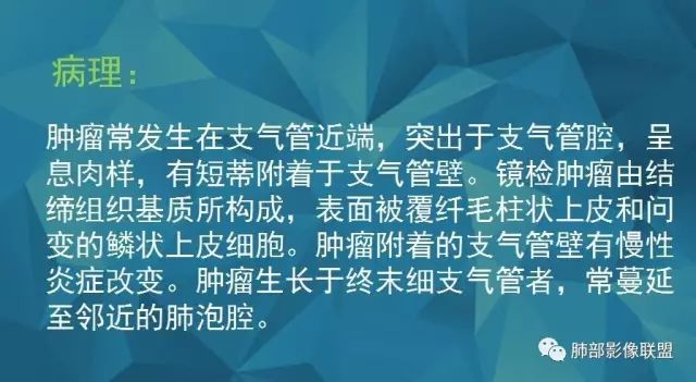 影像PPT - 【PPT】气管支气管乳头状瘤病-8 影像PPT - 【PPT】气管支气管乳头状瘤病-8