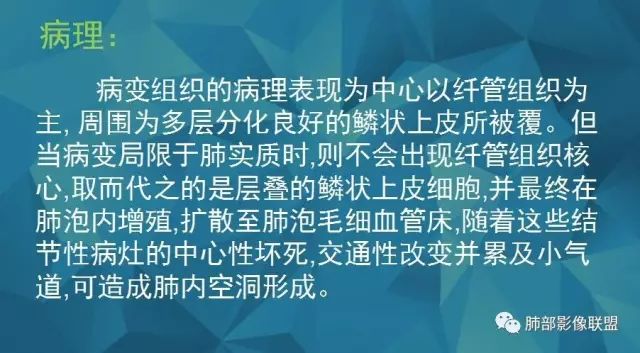 影像PPT - 【PPT】气管支气管乳头状瘤病-9 影像PPT - 【PPT】气管支气管乳头状瘤病-9