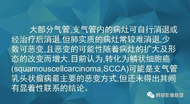 影像PPT - 【PPT】气管支气管乳头状瘤病-16 影像PPT - 【PPT】气管支气管乳头状瘤病-16