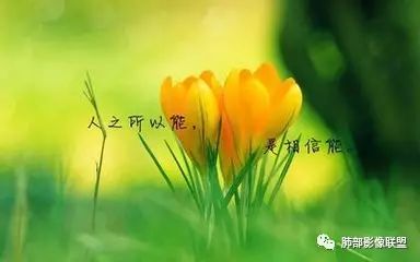 影像PPT - 【PPT】气管支气管乳头状瘤病-84 影像PPT - 【PPT】气管支气管乳头状瘤病-84