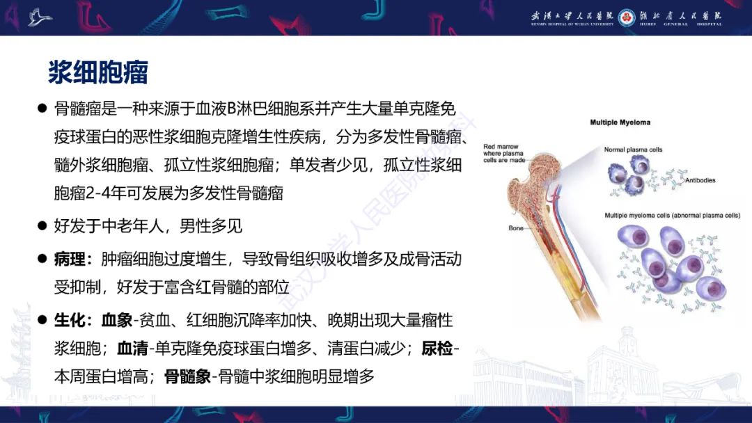 影像PPT - 【PPT】斜坡肿瘤影像诊断-8