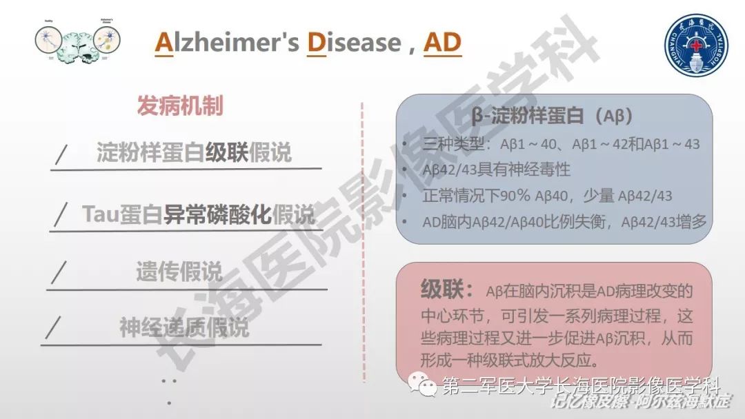 影像PPT - 【PPT】阿尔兹海默症 ——临床与影像-5