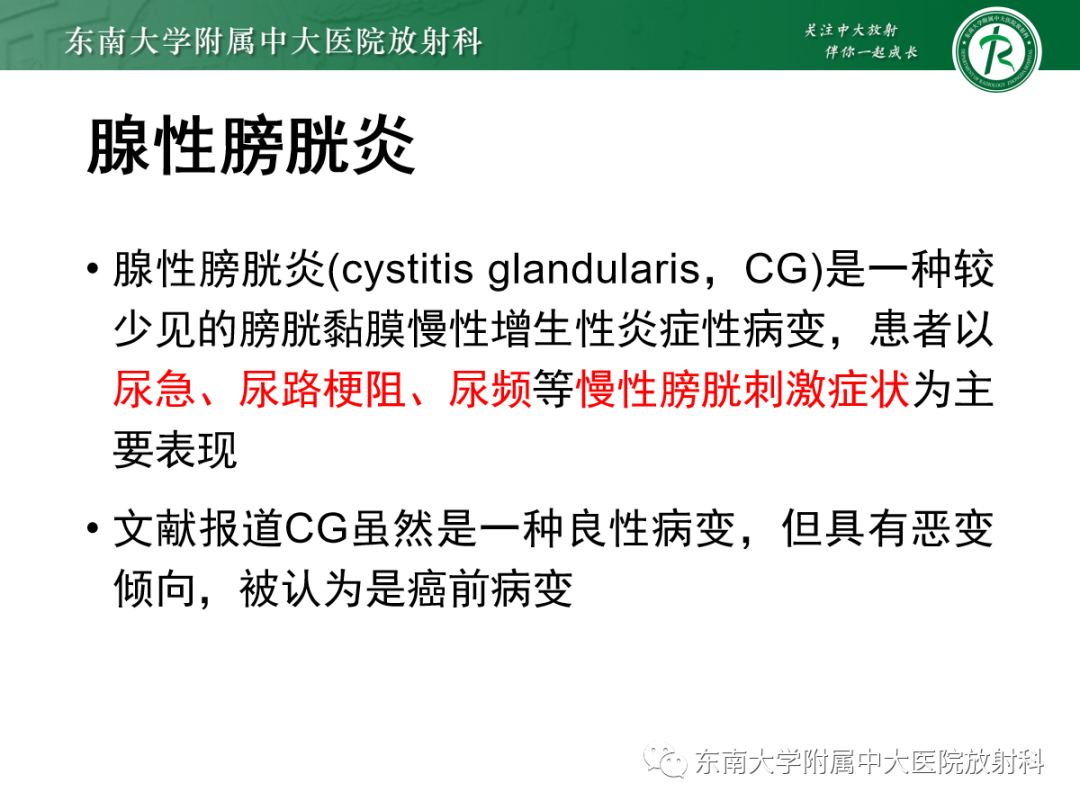 影像PPT - 【PPT】膀胱癌诊断与鉴别诊断-17