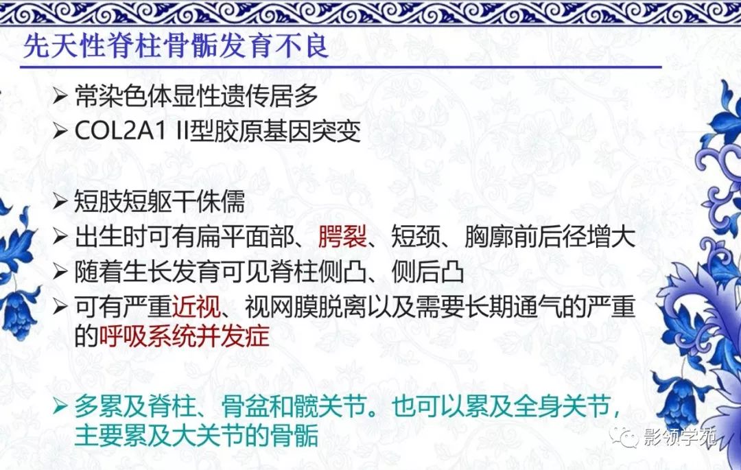 影像PPT - 【PPT】常见骨软骨发育异常的X线表现-23 影像PPT - 【PPT】常见骨软骨发育异常的X线表现-23