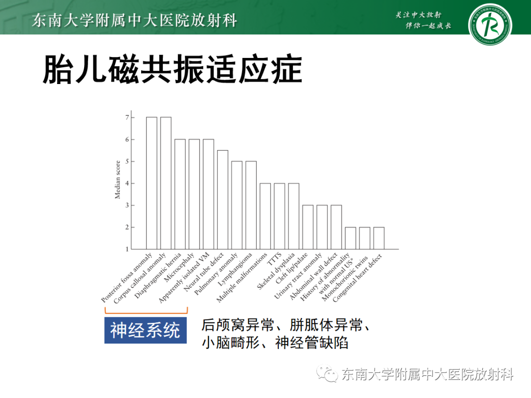 影像PPT - 【PPT】胎儿MRI扫描与常见疾病-13