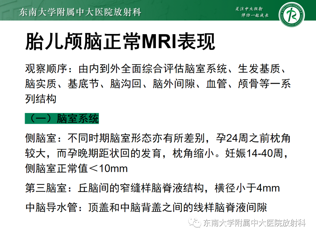 影像PPT - 【PPT】胎儿MRI扫描与常见疾病-15
