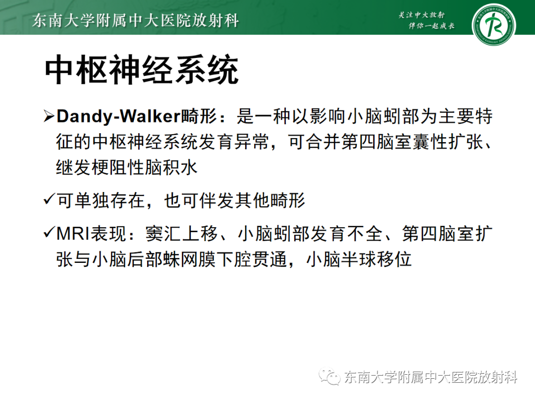 影像PPT - 【PPT】胎儿MRI扫描与常见疾病-30