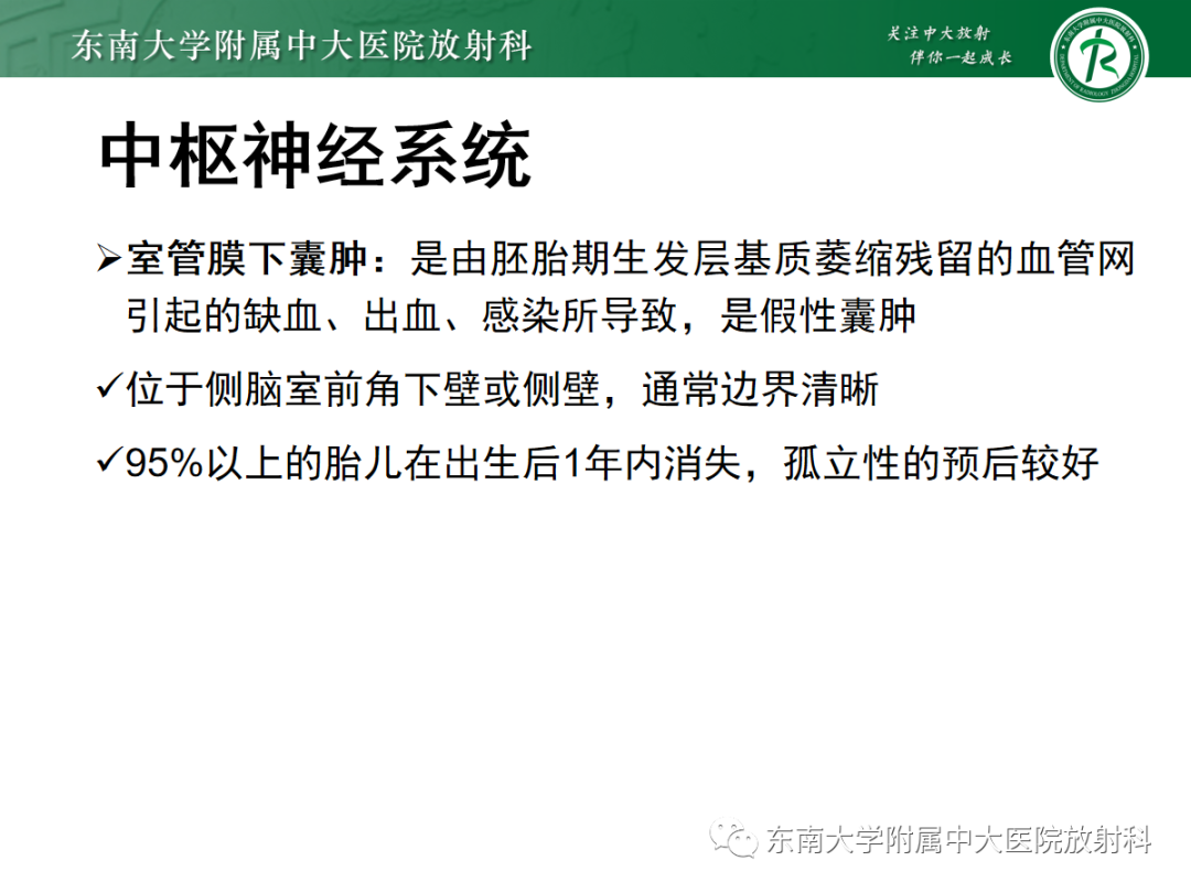 影像PPT - 【PPT】胎儿MRI扫描与常见疾病-36