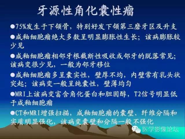 影像PPT - 【PPT】颌骨成釉细胞瘤的影像学诊断-16