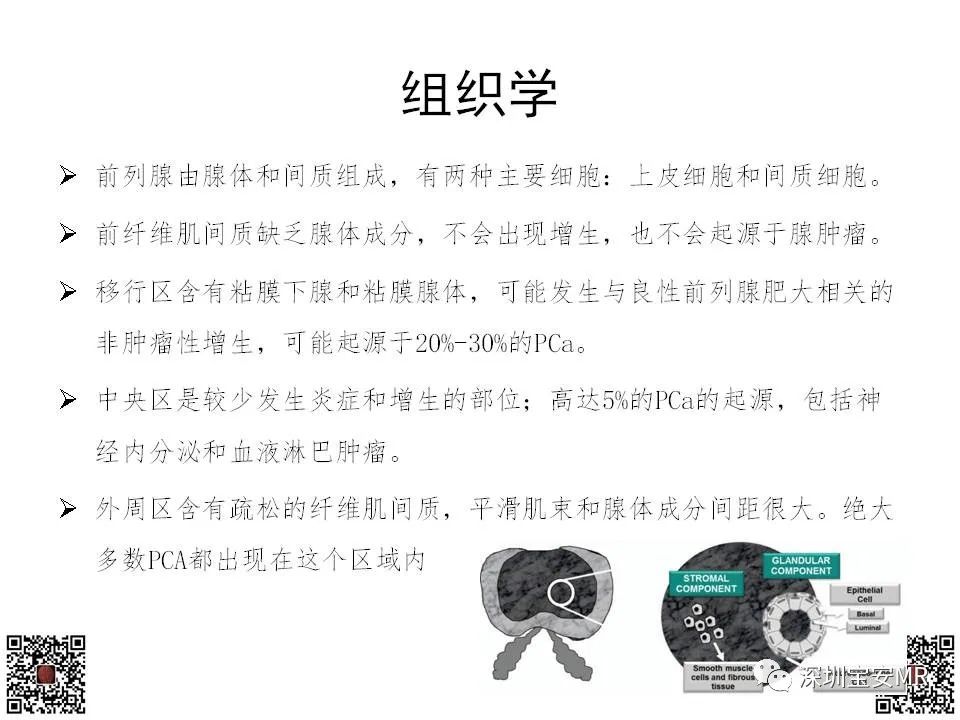 影像PPT - 【PPT】前列腺罕见恶性肿瘤影像表现-6
