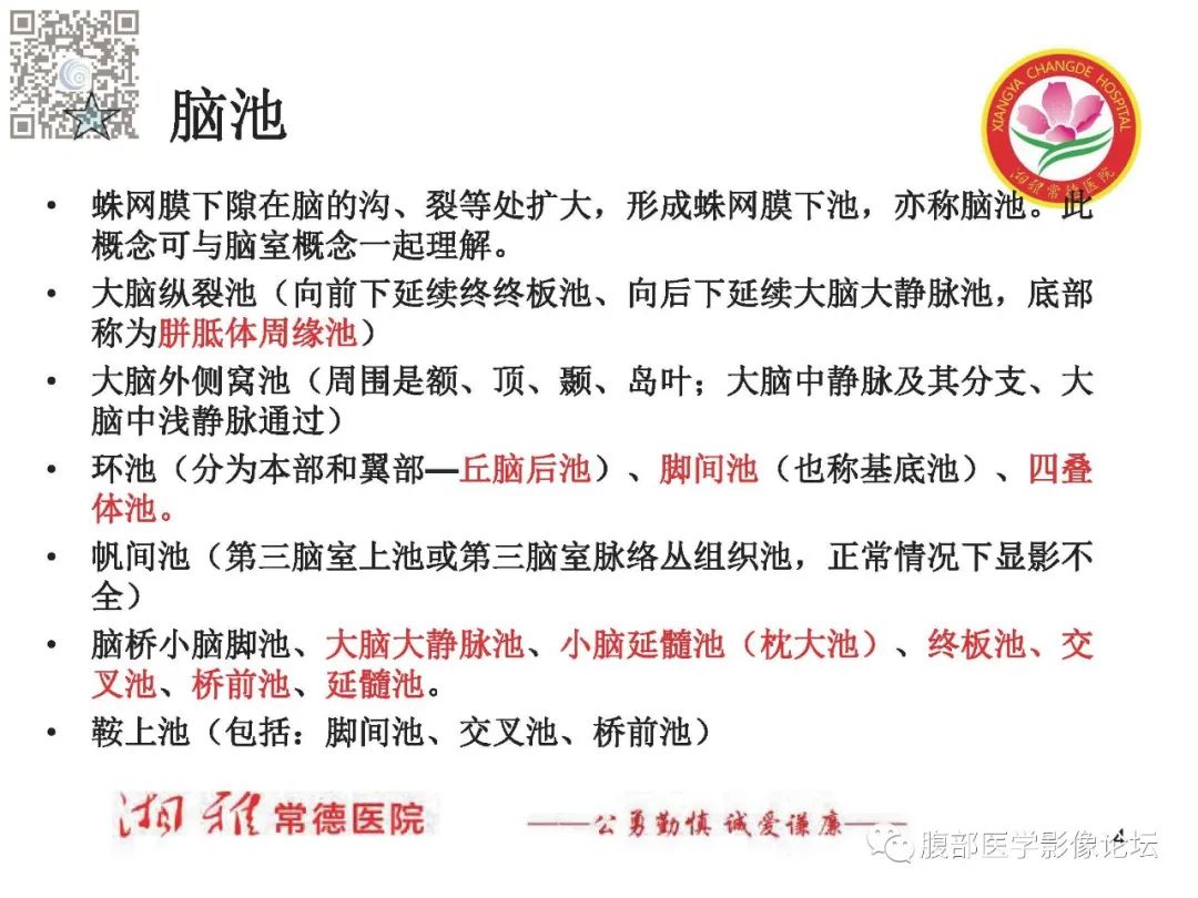 影像PPT - 【PPT】脑中线结构区域解剖及病变影像-4