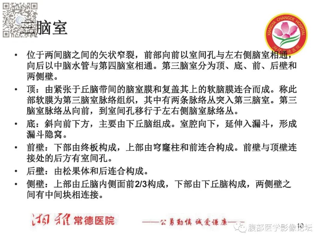 影像PPT - 【PPT】脑中线结构区域解剖及病变影像-10