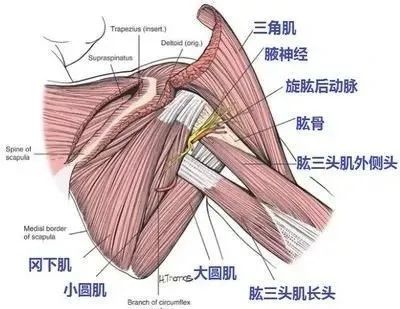 影像PPT - 四边孔综合征-5 影像PPT - 四边孔综合征-5