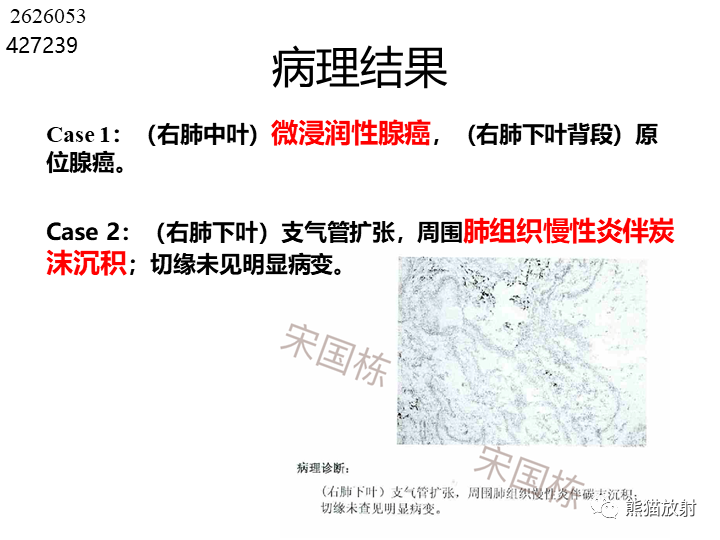 影像PPT - 【病例】肺腺癌（囊腔类肺癌）VS 肺局灶碳末沉积-14