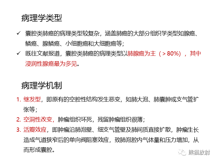 影像PPT - 【病例】肺腺癌（囊腔类肺癌）VS 肺局灶碳末沉积-17