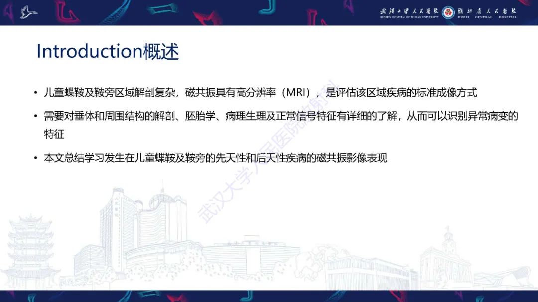 影像PPT - 【PPT】儿童鞍区病变磁共振诊断-2