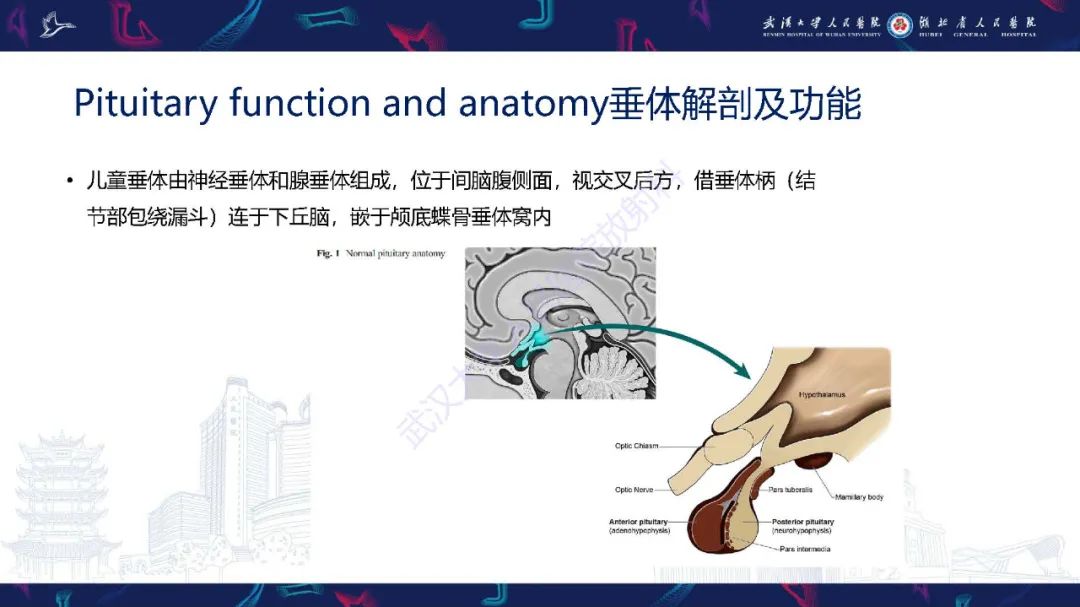 影像PPT - 【PPT】儿童鞍区病变磁共振诊断-3