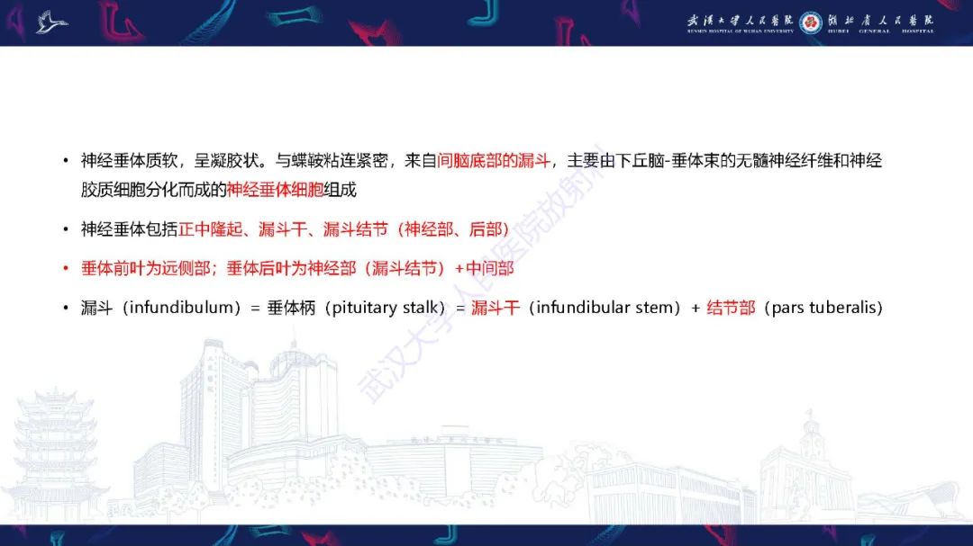 影像PPT - 【PPT】儿童鞍区病变磁共振诊断-5