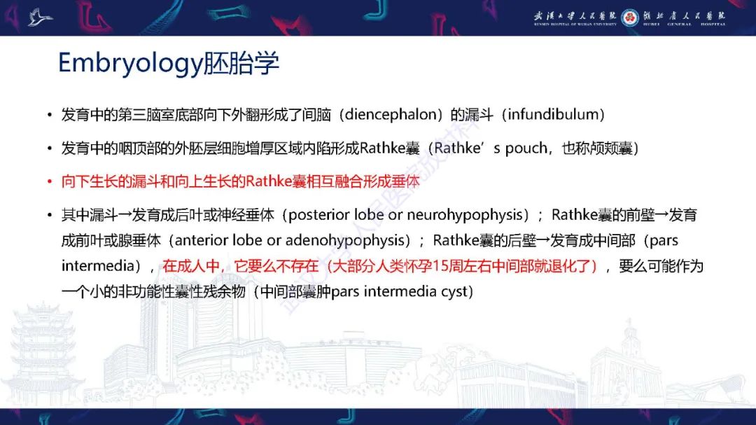 影像PPT - 【PPT】儿童鞍区病变磁共振诊断-7