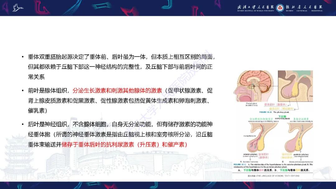影像PPT - 【PPT】儿童鞍区病变磁共振诊断-9