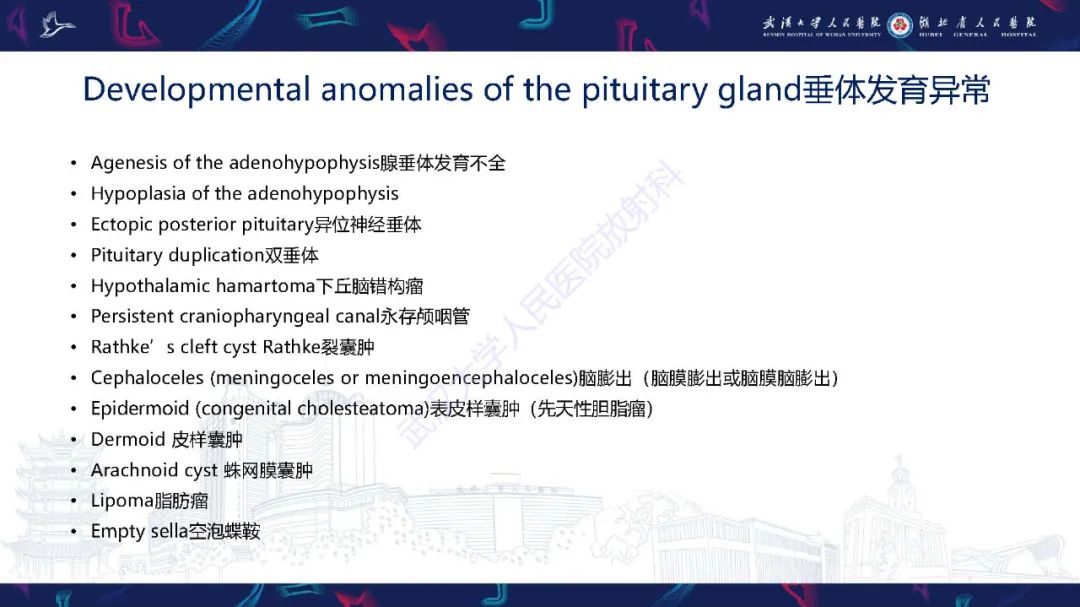 影像PPT - 【PPT】儿童鞍区病变磁共振诊断-12